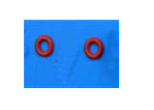 L50662i L50662i